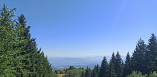 Salins. Des conférences à venir sur le bois et ses usages en Franche-Comté