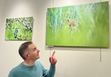 Valdahon. Vivien Journot présente « Les animaux de Franche-Comté » à la médiathèque