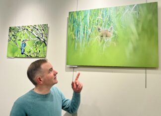 Valdahon. Vivien Journot présente « Les animaux de Franche-Comté » à la médiathèque