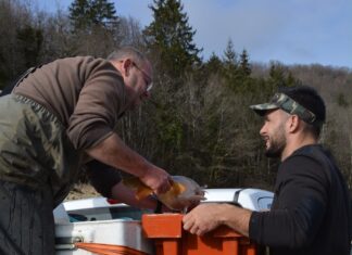 Représentants de l'association