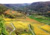 Dossier terroir. Les vins du Jura, une filière qui garde le cap vignobles jurassiens