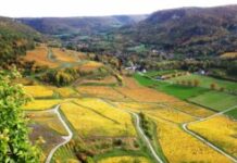 Dossier terroir. Les vins du Jura, une filière qui garde le cap vignobles jurassiens