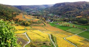 vignobles jurassiens