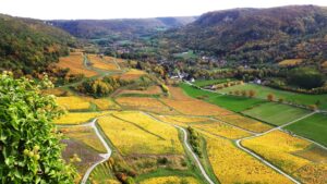 vignes-depuis-chateau-chalon-vignoble-300x169 vignobles jurassiens