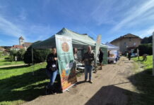 Pays Horloger. « Game of Lynx », un festival dédié aux jeux de société s’installe à Maîche