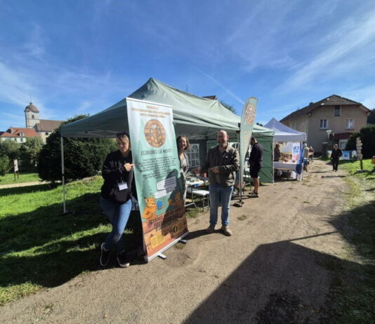 Pays Horloger. « Game of Lynx », un festival dédié aux jeux de société s’installe à Maîche