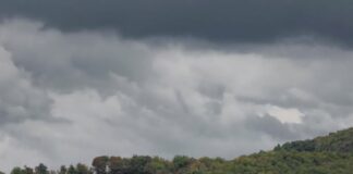 L'architecte ne mord presque pas