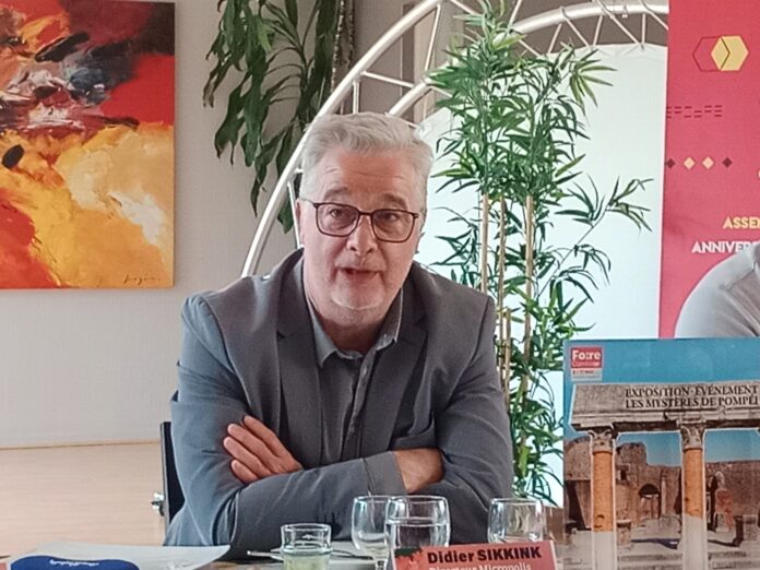 Didier Sikkink, Directeur général de Micropolis