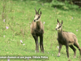 Doubs. ASPAS : pour une autre vision du Vivant dans le Doubs
