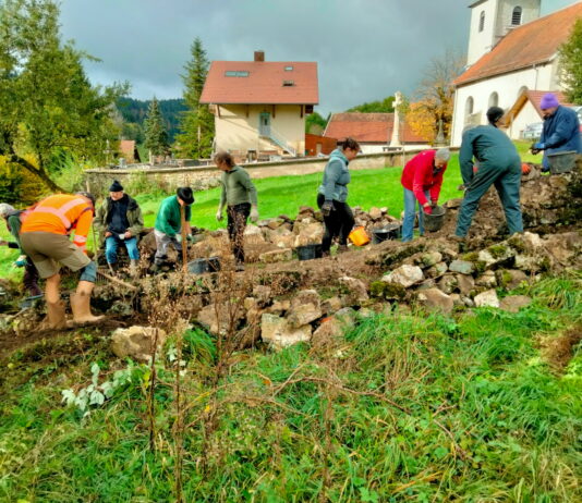 Fournet-Luisans. Un ancien verger reprend vie grâce à des bénévoles