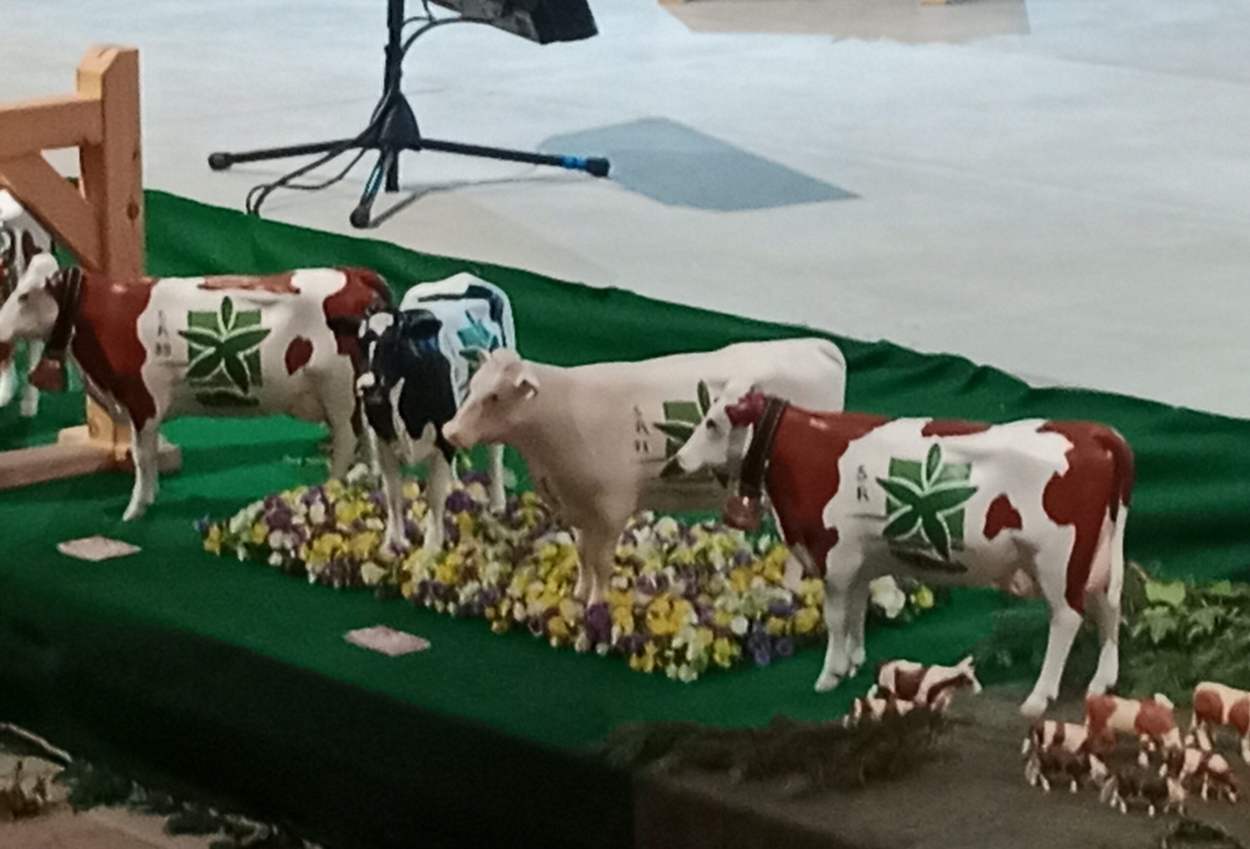 Congrès du Service de Remplacement agricole, salle en réunion