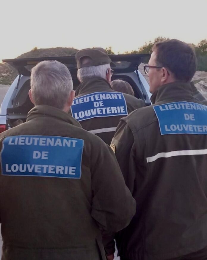 Lieutenant de louveterie