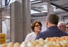 Région. En visite chez Coquy, Annie Genevard défend la souveraineté alimentaire dans le Doubs Annie Genevard, ministre de l’Agriculture