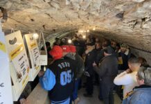 Percée Vin Jaune vignerons