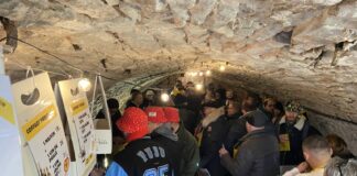 Percée Vin Jaune vignerons