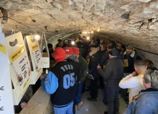 Percée Vin Jaune vignerons