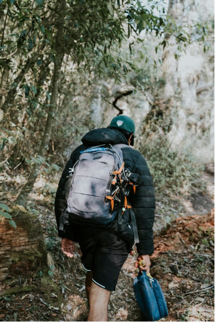 Randonnée en forêt