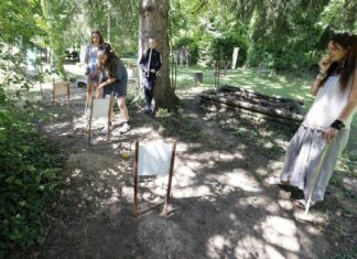 Besançon. Vital’Chailluz, un été d’animations en forêt