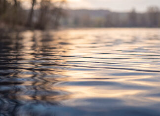 Région. Une qualité d’eau au rendez-vous pour les baignades estivales eau du lac