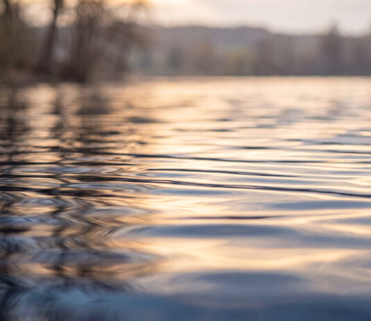 Région. Une qualité d’eau au rendez-vous pour les baignades estivales eau du lac