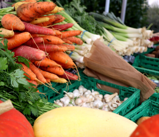 Valdahon. La Fête des Solutions d’Ici met l’alimentation locale à l’honneur Fête Solutions Valdahon