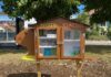 Pontarlier. Huit jeunes construisent une boîte à livres pour le quartier des Castors