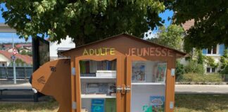 Pontarlier. Huit jeunes construisent une boîte à livres pour le quartier des Castors