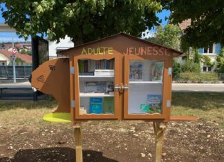 Pontarlier. Huit jeunes construisent une boîte à livres pour le quartier des Castors