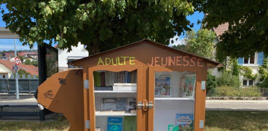 Pontarlier. Huit jeunes construisent une boîte à livres pour le quartier des Castors