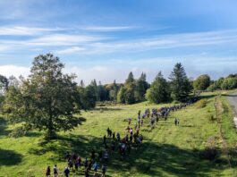 Pontarlier. Le Trail des Sangliers labellisé pour accueillir le championnat régional cadets et juniors