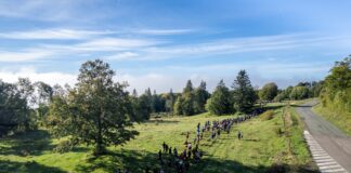 Pontarlier. Le Trail des Sangliers labellisé pour accueillir le championnat régional cadets et juniors