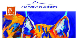 EXPOSITION ARTISTIQUE : REGARD ANIMAL