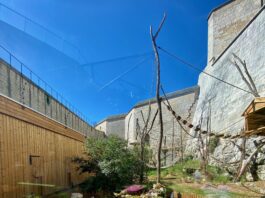 Besançon. Un nouvel espace dédié aux espèces asiatiques inauguré au Muséum de la Citadelle