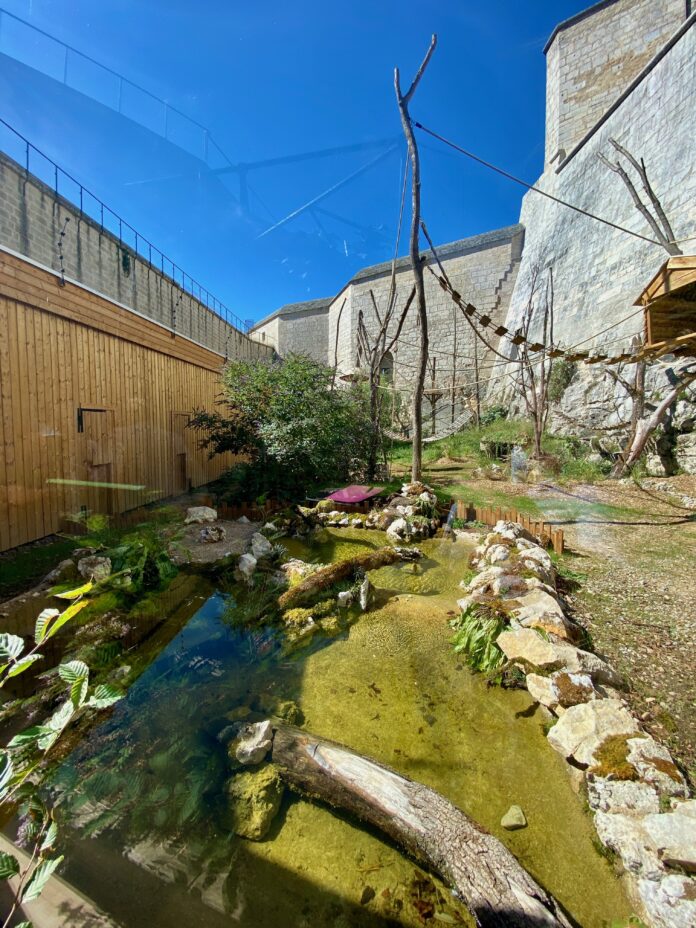 Nouvel enclos Zoo Citadelle