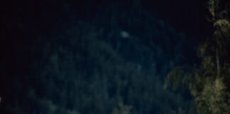 Jules Gerber UTMB 2026
