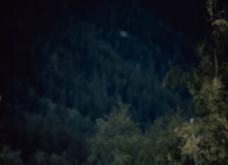 Sport. À 25 ans, Jules Gerber boucle son premier UTMB en 22h30 et décroche la 37e place Jules Gerber UTMB 2026