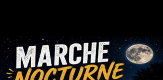Marché Nocturne Logo