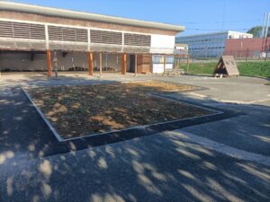 Cour d’école sécurisée avec clôtures et accès