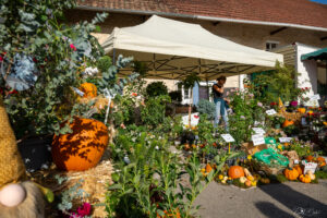 Foire aux Saveurs d’Automne stands et visiteurs