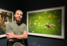 Pontarlier. Deux expositions temporaires pour « redynamiser le musée »