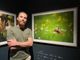 Pontarlier. Deux expositions temporaires pour « redynamiser le musée »