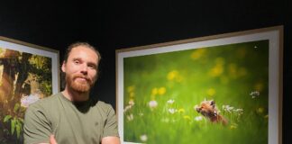 Pontarlier. Deux expositions temporaires pour « redynamiser le musée »