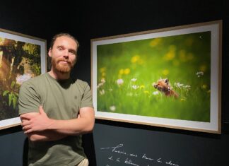 Pontarlier. Deux expositions temporaires pour « redynamiser le musée »