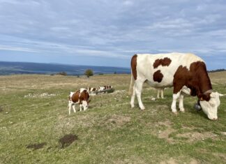 Dossier de la semaine. Les agriculteurs du Doubs face aux défis du changement climatique
