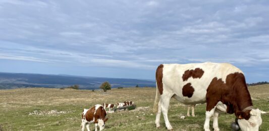 Dossier de la semaine. Les agriculteurs du Doubs face aux défis du changement climatique