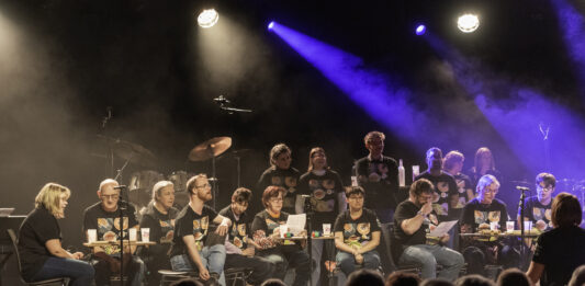 Festi’Diff à Labergement-Sainte-Marie : deux jours de musique et de créations artistiques