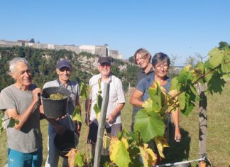 Besançon. Les Terrasses des collines bisontines et d’ailleurs recherchent de nouveaux bénévoles