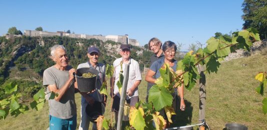 Besançon. Les Terrasses des collines bisontines et d’ailleurs recherchent de nouveaux bénévoles