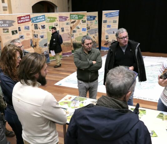 Flangebouche. Une soirée pour découvrir les secrets de la biodiversité locale