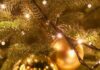 Besançon. Un premier concours des vitrines de Noël